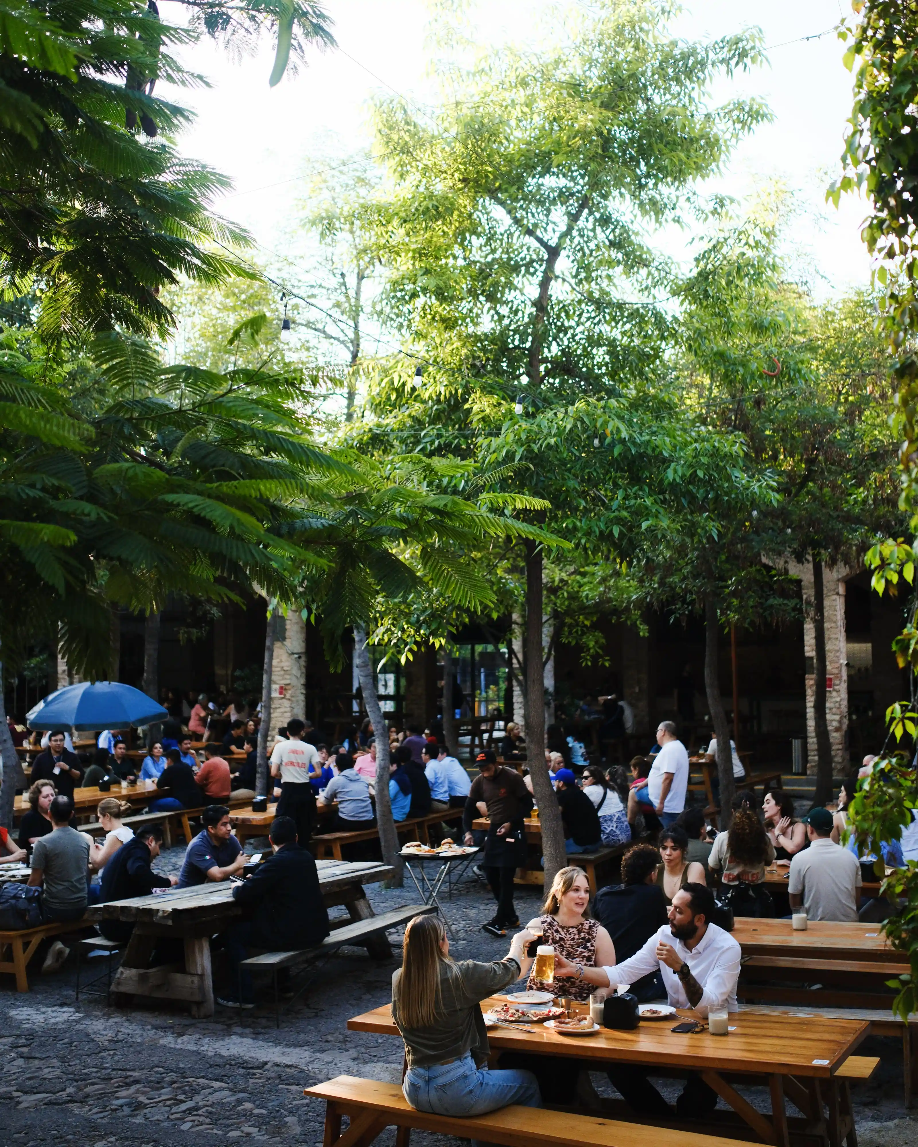 JARDÍN DE CERVEZA HÉRCULES